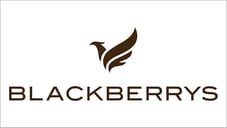 Blackberrys-New-Logo_6