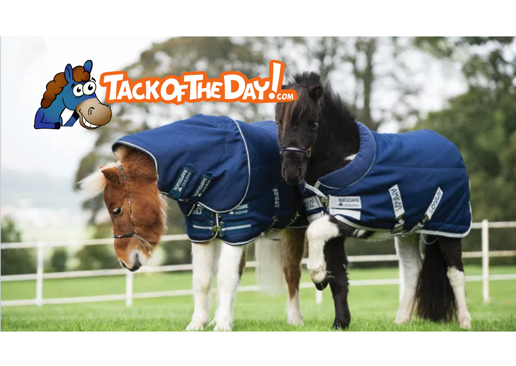 Untitled design Untitled design